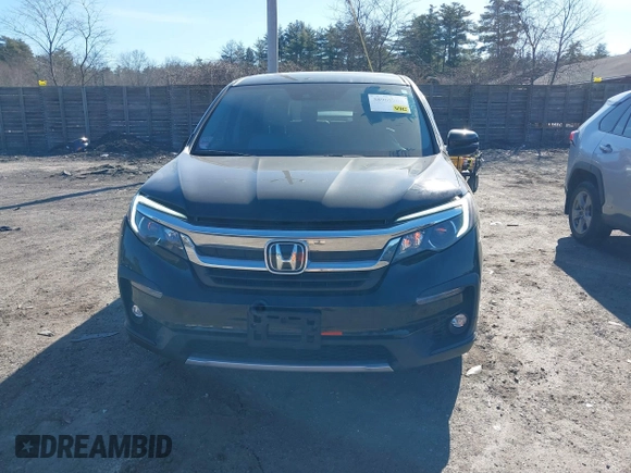 2019 Honda Pilot EX-L with VIN 5FNYF6H53KB007940, listed as a IAAI auction lot 38969204 with 52,677 mi miles. Bid and sale history available at carsss.com. Image 12.
