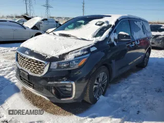 2019 Kia Sedona EX with VIN KNDMC5C16K6548143, listed as a Copart auction lot 41879835 with 230,976 mi miles and Clean Title. Bid and sale history available at carsss.com. Image 1.