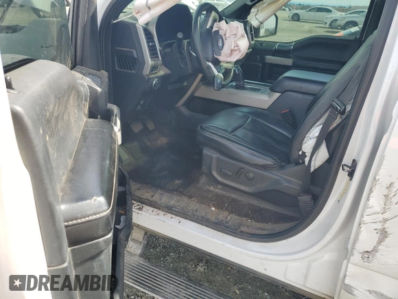 2019 Ford F-150 XL with VIN 1FTFW1E11KFB63482, listed as a Copart auction lot 48780135 with 0 mi miles and Salvage Title. Bid and sale history available at carsss.com. Image 8.