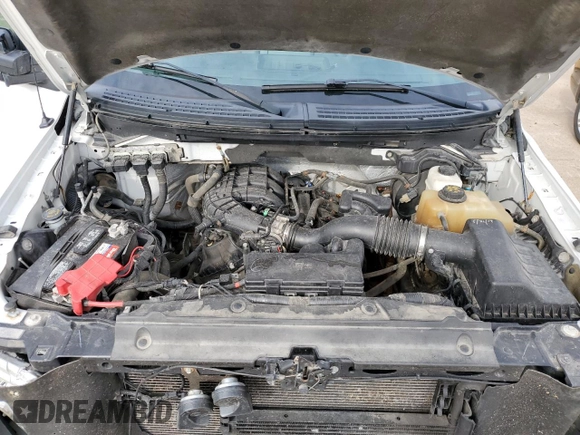 2011 Ford F-150 XL с VIN 1FTMF1EM1BFC21219, выставлен на аукционе Copart как лот 77888384 с пробегом 193 434 миль миль и Списание • Salvage title. История ставок и продаж доступна на DreamBid. Изображение 11.