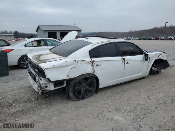 2013 Dodge Charger RT Max with VIN 2C3CDXCT1DH744616, listed as a Copart auction lot 49173565 with 127,644 mi miles and Salvage Title. Bid and sale history available at carsss.com. Image 3.