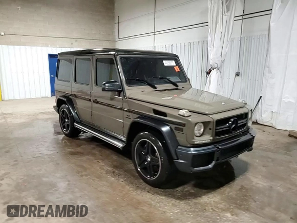 2017 Mercedes-Benz G-Class AMG G 63 with VIN WDCYC7DF5HX273627, listed as a Copart auction lot 49098875 with 0 mi miles and Salvage Title. Bid and sale history available at carsss.com. Image 14.