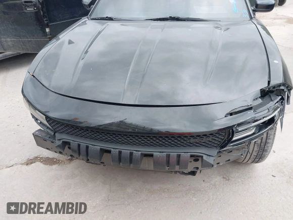 2017 Dodge Charger R/T with VIN 2C3CDXCTXHH643189, listed as a IAAI auction lot 42135789 with Not Provided miles and . Bid and sale history available at DreamBid. Image 12.