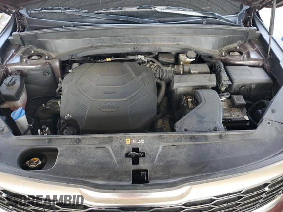 2021 Kia Telluride S with VIN 5XYP64HC6MG176974, listed as a Copart auction lot 56170455 with 66,454 mi miles and Salvage title. Bid and sale history available at DreamBid. Image 12.