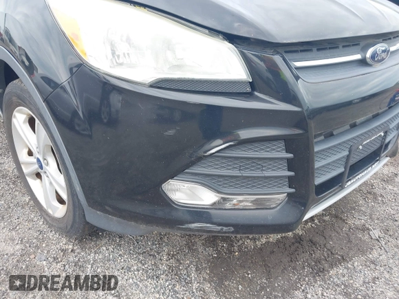 2014 Ford Escape SE with VIN 1FMCU9GX2EUB68419, listed as a IAAI auction lot 42741491 with Not provided miles and . Bid and sale history available at DreamBid. Image 12.