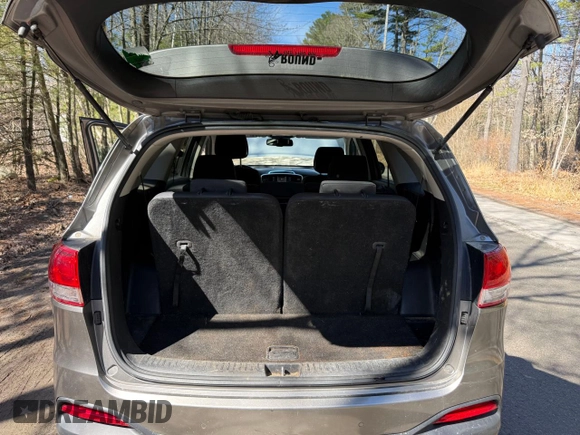 2016 Kia Sorento LX with VIN 5XYPGDA50GG134006, listed as a Copart auction lot 53333085 with 140,200 mi miles and Clean Title. Bid and sale history available at DreamBid. Image 9.