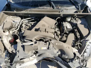 2019 Toyota RAV4 XLE with VIN JTMW1RFV5KD003972, listed as a Copart auction lot 49154825 with 0 mi miles and Salvage Title. Bid and sale history available at carsss.com. Image 12.