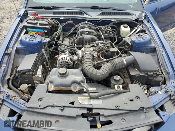 2006 Ford Mustang Standard with VIN 1ZVFT80N765128238, listed as a Copart auction lot 62232515 with Not provided miles and Clean title. Bid and sale history available at DreamBid. Image 11.