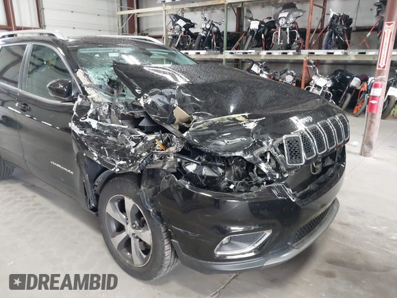 2019 Jeep Cherokee High Altitude with VIN 1C4PJMDX6KD159241, listed as a IAAI auction lot 40742596 with 37,407 mi miles and . Bid and sale history available at DreamBid. Image 6.