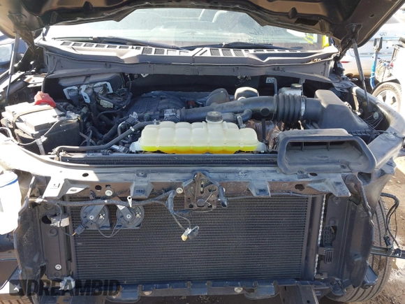 2021 Ford F-150 XL with VIN 1FTMF1CB4MKD64841, listed as a IAAI auction lot 41764428 with 21,628 mi miles and . Bid and sale history available at DreamBid. Image 10.