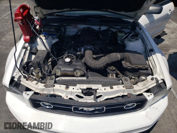 2006 Ford Mustang Standard z VIN 1ZVHT84N665237941, wystawiony jako Copart lot #55253585 z przebiegiem 171 923 mil mil oraz Szkoda całkowita • Salvage title. Historia ofert i sprzedaży dostępna na DreamBid. Obrazek 11.