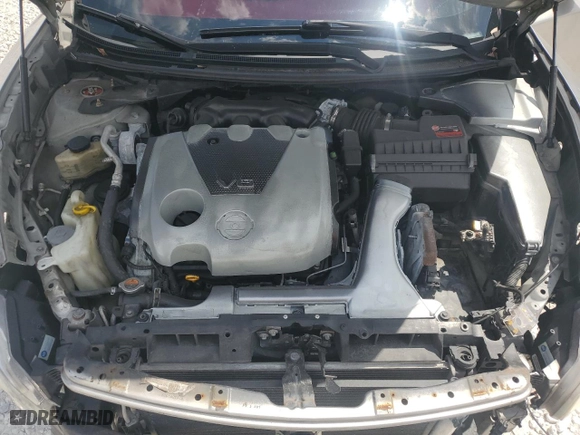 2009 Nissan Maxima 3.5 SV w/Sport Pkg with VIN 1N4AA51E19C839228, listed as a Copart auction lot 50554405 with 196,629 mi miles and Salvage Title. Bid and sale history available at carsss.com. Image 11.