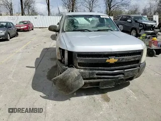 2010 Chevrolet Silverado 1500 Work Truck with VIN 1GCPCPEX8AZ263693, listed as a Copart auction lot 49038045 with 132,268 mi miles and Salvage Title. Bid and sale history available at DreamBid. Image 10.