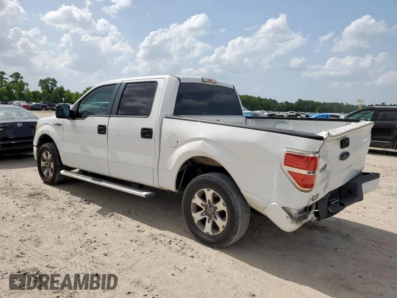 2011 Ford F-150 XL with VIN 1FTEW1CM9BKD99944, listed as a Copart auction lot 64069465 with 288,402 mi miles and Salvage title. Bid and sale history available at DreamBid. Image 2.