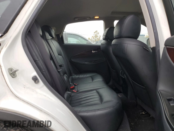 2009 Infiniti EX Journey with VIN JNKAJ09F09M950596, listed as a Copart auction lot 76023074 with 299,188 mi miles and Clean title. Bid and sale history available at DreamBid. Image 10.