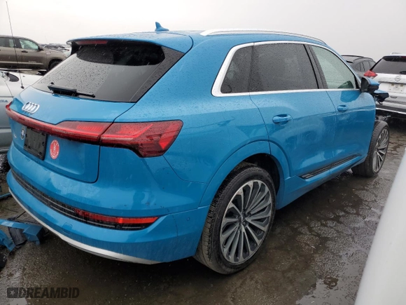 2019 Audi e-tron Prestige with VIN WA1VAAGE9KB014524, listed as a Copart auction lot 42891273 with 33,117 mi miles. Bid and sale history available at carsss.com. Image 3.