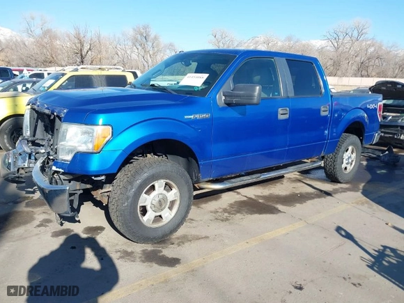 2010 Ford F-150 XL with VIN 1FTEW1E87AFB51697, listed as a IAAI auction lot 41454088 with 171,787 mi miles. Bid and sale history available at carsss.com. Image 2.