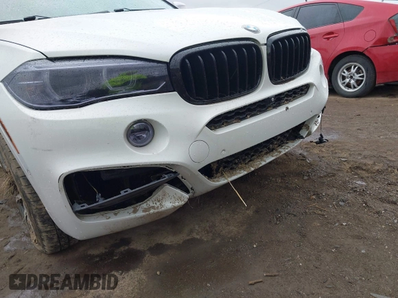 2018 BMW X6 xDrive35i z VIN 5UXKU2C52J0X51312, wystawiony jako IAAI lot #41837606 z przebiegiem 148 722 mil mil oraz . Historia ofert i sprzedaży dostępna na DreamBid. Obrazek 6.