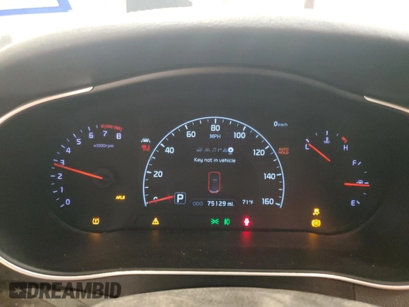 2014 Kia Cadenza Premium with VIN KNALN4D70E5165793, listed as a Copart auction lot 82120484 with 75,129 mi miles and Salvage Title. Bid and sale history available at carsss.com. Image 9.