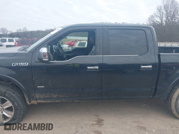 2015 Ford F-150 XLT with VIN 1FTEW1EG4FFC91835, listed as a IAAI auction lot 41585505 with 142,702 mi miles. Bid and sale history available at carsss.com. Image 15.