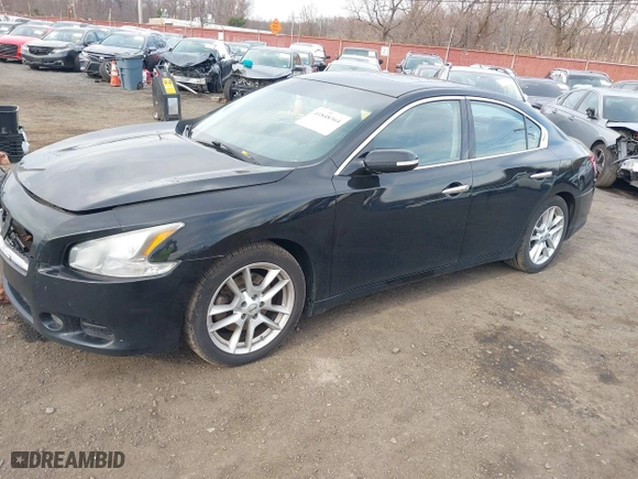 2010 Nissan Maxima 3.5 S with VIN 1N4AA5AP0AC824404, listed as a IAAI auction lot 41848364 with 192,490 mi miles. Bid and sale history available at carsss.com. Image 19.