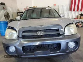 2006 Hyundai Santa Fe GLS with VIN KM8SC13D66U068594, listed as a Copart auction lot 77463854 with 132,081 mi miles and Salvage Title. Bid and sale history available at carsss.com. Image 5.