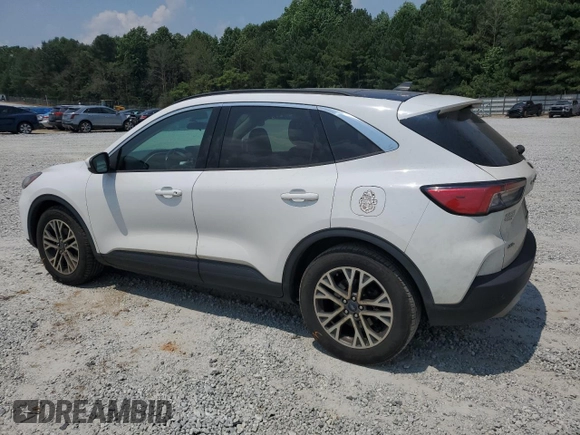 2020 Ford Escape SEL with VIN 1FMCU0H65LUC76743, listed as a Copart auction lot 59478105 with 125,277 mi miles and Salvage title. Bid and sale history available at DreamBid. Image 2.
