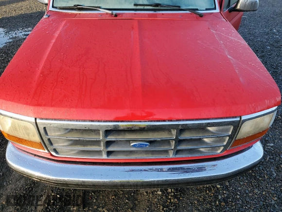 1993 Ford F-150 with VIN 1FTEF14N0PLA23366, listed as a Copart auction lot 86184434 with 36,789 mi miles and Salvage Title. Bid and sale history available at DreamBid. Image 12.