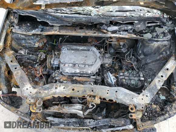 2009 Honda Odyssey EX-L with VIN 5FNRL38699B021100, listed as a Copart auction lot 52871295 with Not Provided miles and Non Repairable. Bid and sale history available at DreamBid. Image 12.