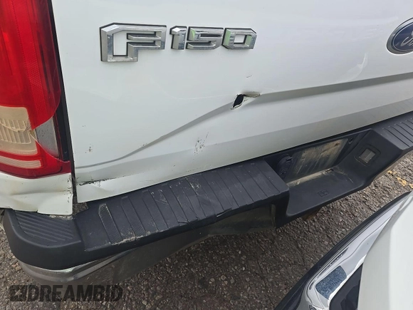 2017 Ford F-150 XL with VIN 1FTEX1EP1HKC73011, listed as a IAAI auction lot 42788915 with 196,143 mi miles and . Bid and sale history available at DreamBid. Image 27.