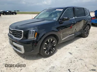 2024 Kia Telluride SX z VIN 5XYP54GC0RG476232, wystawiony jako Copart lot #54453775 z przebiegiem 26 025 mil mil oraz Szkody całkowita. Historia ofert i sprzedaży dostępna na DreamBid. Obrazek 1.