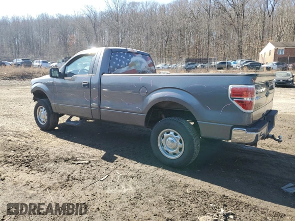 2011 Ford F-150 XL with VIN 1FTMF1CM2BKD08234, listed as a Copart auction lot 48413095 with 144,204 mi miles and Salvage Title. Bid and sale history available at DreamBid. Image 2.