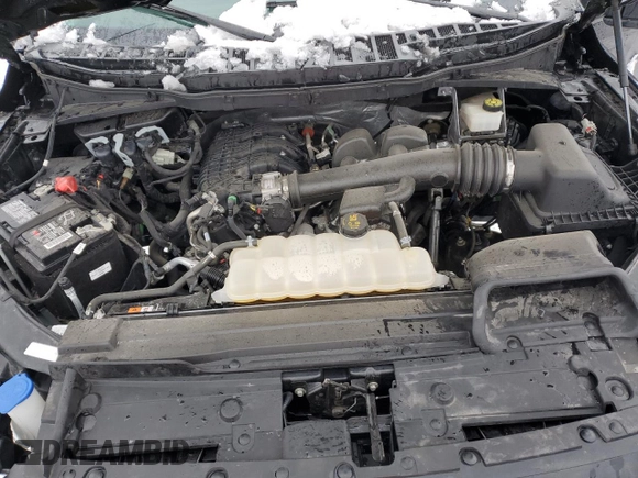 2021 Ford F-150 XL with VIN 1FTMF1EB1MKF07449, listed as a Copart auction lot 37636924 with 43,361 mi miles and . Bid and sale history available at DreamBid. Image 11.