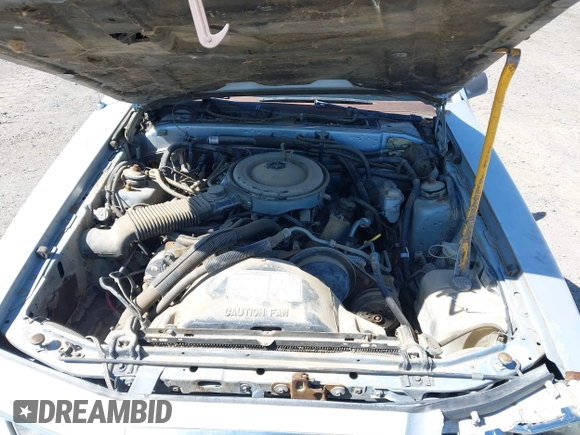 1984 Ford Thunderbird z VIN 1FABP4632EH220641, wystawiony jako IAAI lot #42325000 z przebiegiem 6094 mil mil oraz . Historia ofert i sprzedaży dostępna na DreamBid. Obrazek 10.