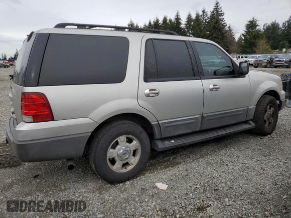 2005 Ford Expedition Special Service with VIN 1FMPU15525LA94297, listed as a Copart auction lot 48746165 with 0 mi miles and Salvage Title. Bid and sale history available at carsss.com. Image 3.