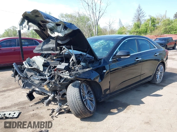 2021 Cadillac CT4 Premium Luxury z VIN 1G6DF5RK8M0121711, wystawiony jako IAAI lot #42197628 z przebiegiem Nie podano mil oraz . Historia ofert i sprzedaży dostępna na DreamBid. Obrazek 2.