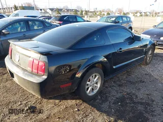 2009 Ford Mustang with VIN 1ZVHT80NX95113701, listed as a IAAI auction lot 42028558 with 100,224 mi miles and . Bid and sale history available at carsss.com. Image 4.