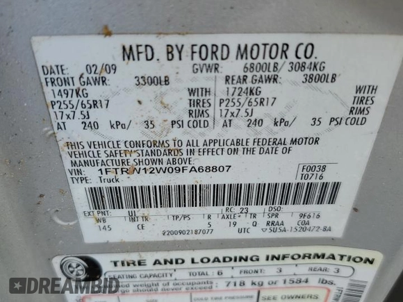 2009 Ford F-150 XL with VIN 1FTRW12W09FA68807, listed as a Copart auction lot 57811775 with 256,731 mi miles and Salvage title. Bid and sale history available at DreamBid. Image 12.