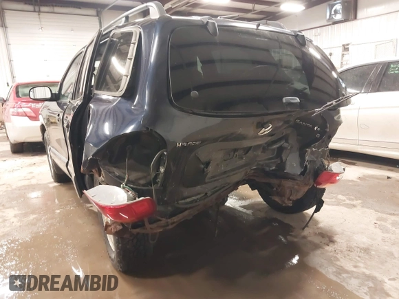2004 Hyundai Santa Fe GLS with VIN KM8SC73D84U833286, listed as a IAAI auction lot 41644780 with 160,313 mi miles. Bid and sale history available at carsss.com. Image 6.