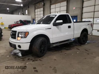 2013 Ford F-150 XL with VIN 1FTMF1EF6DFB52970, listed as a Copart auction lot 89300035 with 189,882 mi miles and Salvage Title. Bid and sale history available at carsss.com. Image 1.