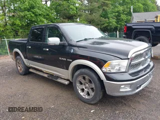 2009 Dodge 1500 Laramie z VIN 1D3HV13T69S799484, wystawiony jako IAAI lot #42312702 z przebiegiem 254 233 mil mil oraz . Historia ofert i sprzedaży dostępna na DreamBid. Obrazek 1.