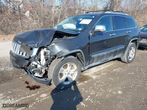 2011 Jeep Grand Cherokee Limited with VIN 1J4RR5GG4BC604756, listed as a IAAI auction lot 41399151 with 160,153 mi miles. Bid and sale history available at carsss.com. Image 17.
