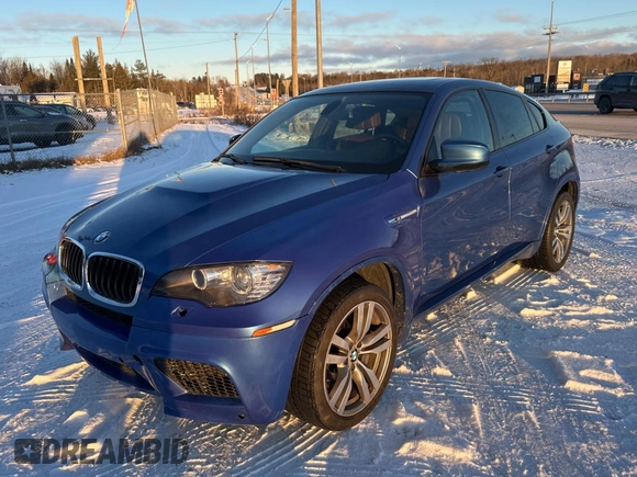 2013 BMW X6 M with VIN 5YMGZ0C57DLL29849, listed as a Copart auction lot 86665844 with 117,000 mi miles and Clean Title. Bid and sale history available at carsss.com. Image 2.