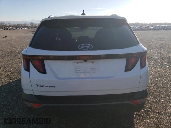 2024 Hyundai Tucson SEL with VIN 5NMJB3DE9RH296574, listed as a Copart auction lot 41799845 with 40,596 mi miles and Clean Title. Bid and sale history available at DreamBid. Image 6.