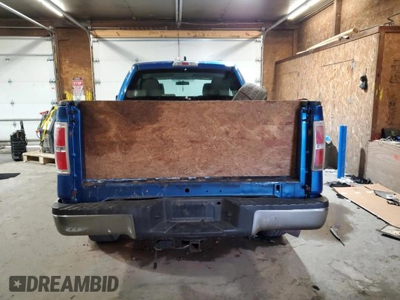 2010 Ford F-150 XL with VIN 1FTEX1E88AFD02818, listed as a Copart auction lot 64390285 with Not provided miles and Clean title. Bid and sale history available at DreamBid. Image 6.