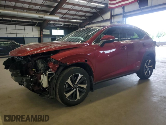 2020 Lexus NX 300h with VIN JTJGJRDZ2L5005228, listed as a Copart auction lot 60477955 with 59,587 mi miles and Salvage title. Bid and sale history available at DreamBid. Image 1.