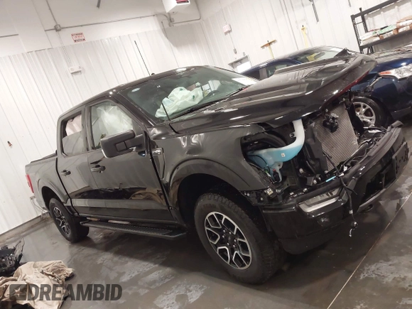2023 Ford F-150 XL с VIN 1FTEW1EP1PKG06986, выставлен на аукционе IAAI как лот 41710895 с пробегом 9 175 миль миль и . История ставок и продаж доступна на DreamBid. Изображение 14.