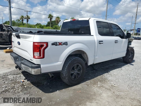 2016 Ford F-150 XLT with VIN 1FTEW1EFXGKE48610, listed as a Copart auction lot 59703975 with 174,044 mi miles and Salvage title. Bid and sale history available at DreamBid. Image 3.