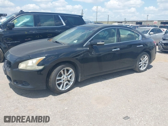 2011 Nissan Maxima SV with VIN 1N4AA5AP9BC865311, listed as a IAAI auction lot 42232838 with 244,245 mi miles and . Bid and sale history available at DreamBid. Image 2.