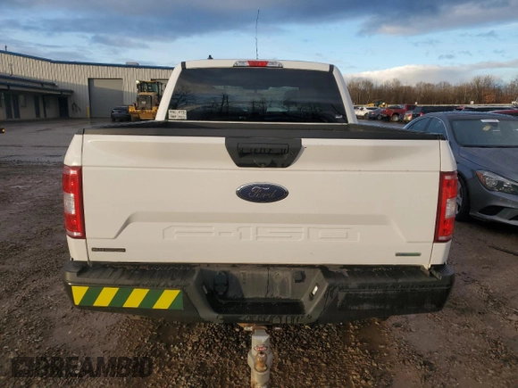 2020 Ford F-150 with VIN 1FTEW1P41LKF21496, listed as a Copart auction lot 81528664 with Not provided miles and Salvage title. Bid and sale history available at DreamBid. Image 6.